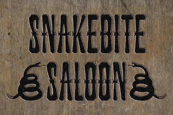 Snakebite Saloon: Authentic Western Typography